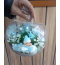 Elma Fanusta Hoşgeldin Erkek Bebek Teraryum (~30 cm)