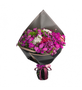 Siyah Ambalajda Renkli Hüsnüyusuflar (~ 52 cm)
