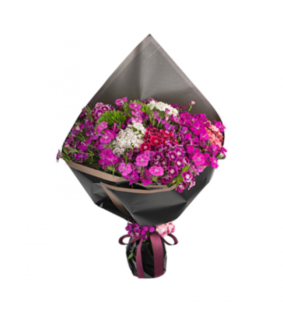 Siyah Ambalajda Renkli Hüsnüyusuflar (~ 52 cm)