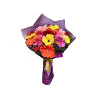  Mor Ambalaj Kağıdında Renkli Gerbera Buketi (~45 cm)