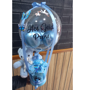 HOŞGELDİN PRENS