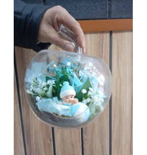 Elma Fanusta Hoşgeldin Erkek Bebek Teraryum (~30 cm)