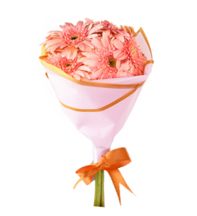 Pembe Gerbera Buketi (~40 cm)