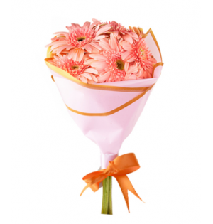 Pembe Gerbera Buketi (~40 cm)