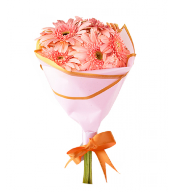 Pembe Gerbera Buketi (~40 cm)